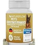 Die besten Gelenkprodukte für Pferde im Vergleich: Was können Hunde uns darüber lehren?